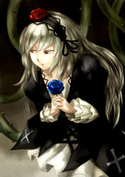 Rule 34 | 00s, 1girl, blue flower, blue rose, doll joints, dress, eyelashes, flower, gothic lolita, hairband, highres, joints, lips, lolita fashion, lolita hairband, long hair, plant, red eyes, red flower, red rose, rose, rozen maiden, silver hair, solo, su ma ki, suigintou, vines