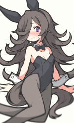 Rule 34 | 1girl, absurdres, alternate costume, animal ears, arm support, bare shoulders, black bow, black bowtie, black leotard, black pantyhose, blurry, blush, bow, bowtie, breasts, brown hair, cleavage, closed mouth, depth of field, detached collar, enoki art, feet, groin, hairband, highres, horse ears, leotard, long hair, looking at viewer, nontraditional playboy bunny, nose blush, pantyhose, purple eyes, rice shower (umamusume), sitting, small breasts, solo, sweat, umamusume, white background, wrist cuffs
