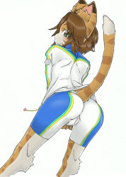 Rule 34 | 1girl, animal ears, artist request, ass, bike shorts, bloody roar, blush, brown hair, cameltoe, cat ears, cat girl, cat tail, from behind, furry, furry female, green eyes, highres, leaning, leaning forward, looking at viewer, looking back, nonomura uriko, short hair, smile, solo, tail