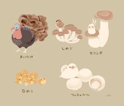 Rule 34 | bird, chai (drawingchisanne), commentary request, food, food focus, looking at viewer, mushroom, no humans, original, signature, simple background, sitting, sitting on object, sweets bird, translation request