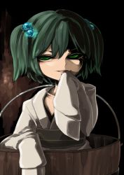 Rule 34 | 1girl, barrel, bucket, dark persona, green eyes, green hair, hair bobbles, hair ornament, harusame (unmei no ikasumi), japanese clothes, kimono, kisume, long sleeves, matching hair/eyes, sleeves past wrists, solo, touhou, twintails