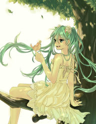 Rule 34 | 1girl, absurdres, bad id, bad pixiv id, bird, dress, flower, green eyes, green hair, hair flower, hair ornament, hatsune miku, highres, in tree, long hair, matching hair/eyes, open mouth, run (sweettimehappy), sitting, sitting in tree, solo, tree, twintails, vocaloid