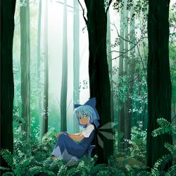 Rule 34 | 1girl, against tree, blue eyes, blue hair, cirno, embodiment of scarlet devil, forest, from side, hair between eyes, hairband, highres, mary janes, matching hair/eyes, moriya suo, nature, plant, ribbon, scenery, shoes, sitting, solo, suo, touhou, tree, wings