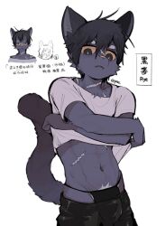 1boy absurdres black_eyes black_fur black_hair body_fur bulge cat_boy chinese_commentary chinese_text clothes_lift colored_sclera commentary_request cowboy_shot furry furry_male grey_shirt highres lifting_own_clothes looking_at_viewer male_focus original pubic_hair scar scar_on_face scar_on_neck scar_on_stomach shirt shirt_lift short_hair slit_pupils tail thong toned toned_male translation_request white_background yellow_sclera yrac