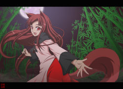 Rule 34 | 1girl, animal ears, anime coloring, bamboo, bamboo forest, brown hair, derivative work, dress, fang, fingernails, forest, full moon, highres, holo, imaizumi kagerou, letterboxed, long hair, moon, nature, night, open mouth, red eyes, sharp fingernails, solo, spice and wolf, tail, touhou, wide sleeves, wolf ears, wolf tail, woofey