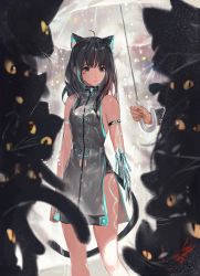 Rule 34 | 1girl, ahoge, animal ears, bad id, bad twitter id, barcode, barcode tattoo, bare shoulders, black cat, black eyes, black hair, broken arm, buttons, cable, cat, cat ears, cat girl, cat tail, closed mouth, double-breasted, dress, grey dress, highres, hoojiro, long hair, looking at viewer, mechanical parts, original, robot, sleeveless, sleeveless dress, solo, standing, tail, tattoo, too many, too many cats
