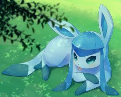 Rule 34 | :p, alopias, aqua eyes, blurry, blurry foreground, creatures (company), game freak, gen 4 pokemon, glaceon, grass, leaf, lying, nintendo, no humans, on stomach, pokemon, pokemon (creature), shadow, sidelocks, tongue, tongue out