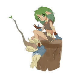 Rule 34 | 1boy, absurdres, akumesik, blue gloves, closed mouth, full body, gloves, grandia, grandia i, green eyes, green hair, highres, horns, long hair, looking at viewer, male focus, rem (grandia), simple background, single horn, sitting, solo, tree stump, white background