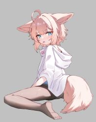 Rule 34 | 1girl, ahoge, animal ears, arknights, black pantyhose, blue eyes, coat, commentary, dated commentary, fox ears, fox girl, fox tail, grey background, highres, hood, hooded coat, jambujok, no shoes, open mouth, pantyhose, pink hair, simple background, sitting, soles, solo, sussurro (arknights), tail, toes, wariza, white coat