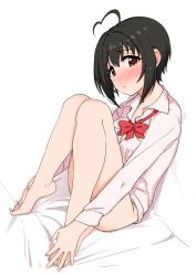 Rule 34 | 1girl, ahoge, bad id, bad twitter id, barefoot, black hair, blush, bow, bowtie, breasts, brown eyes, cleavage, collarbone, dress shirt, feet, full-face blush, full body, hands on feet, heart, heart-shaped pupils, heart ahoge, highres, idolmaster, idolmaster cinderella girls, knees up, kohinata miho, legs, medium breasts, no panties, omaru gyuunyuu, plantar flexion, red bow, red bowtie, shirt, short hair, simple background, sitting, solo, symbol-shaped pupils, white background