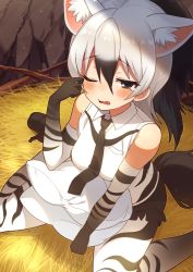 Rule 34 | 1girl, aardwolf (kemono friends), aardwolf print, animal ears, bare shoulders, black hair, black necktie, black shorts, blush, collared shirt, commentary request, elbow gloves, extra ears, from above, gloves, hair between eyes, highres, kamuraaa 615, kemono friends, multicolored hair, necktie, nest, one eye closed, pantyhose, pillow, ponytail, print gloves, print pantyhose, rubbing eyes, shirt, short hair, short shorts, shorts, sitting, sleeveless, solo, tail, tearing up, two-tone hair, wariza, white hair, white shirt