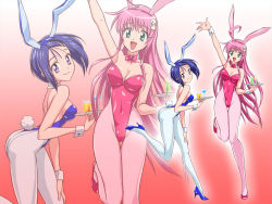 Rule 34 | 2girls, ahoge, alternate costume, animal ears, arm up, blue hair, breasts, cameltoe, carrying, cleavage, covered navel, detached collar, fake animal ears, female focus, full body, glass, hairband, hand on thigh, high heels, holding, leaning forward, legs, leotard, long hair, multiple girls, open mouth, pantyhose, pink hair, plate, playboy bunny, rabbit ears, shoes, short hair, smile, standing, standing on one leg, thigh gap, thighs, to love-ru, wrist cuffs, yabuki kentarou, zoom layer