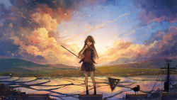 Rule 34 | 1girl, arm at side, axleaki, bird, black footwear, blush, brown eyes, brown hair, brown shirt, cloud, cloudy sky, collared shirt, commentary request, day, grey skirt, grey socks, hair between eyes, hand up, highres, holding, holding sign, landscape, long hair, looking at viewer, mountain, mountainous horizon, neck ribbon, open clothes, open mouth, open vest, original, outdoors, pleated skirt, power lines, red ribbon, ribbon, rice paddy, road sign, scenery, shirt, shoes, short sleeves, sign, skirt, sky, socks, solo, standing, sunset, utility pole, vest, wide shot