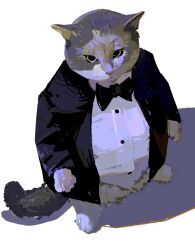 Rule 34 | animal focus, black bow, black bowtie, black suit, bow, bowtie, buttons, cat, dress shirt, formal, full body, grey cat, highres, long sleeves, looking at viewer, no humans, original, photo-referenced, shirt, simple background, solo, standing, suit, white background, white shirt, yuming li
