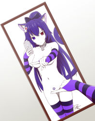 Rule 34 | absurdres, angry, animal ears, blue eyes, breasts, cat ears, cat tail, collar, colored skin, convenient censoring, heterochromia, highres, meme, mirror, one finger selfie challenge (meme), pin, purple hair, red eyes, selfie, tail, tattoo, thighhighs, totless, tsuki kimura, virtual youtuber, white skin