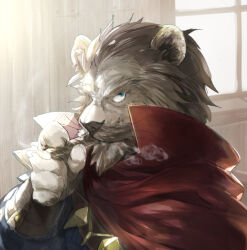 Rule 34 | 1boy, beard, cape, cigar, facial hair, furrification, furry, furry male, graves (league of legends), hair slicked back, karipaku, league of legends, looking at viewer, male focus, mature male, mustache, portrait, red cape, short hair, smoking, solo, thick eyebrows, window