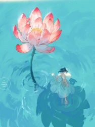 Rule 34 | 1girl, bare arms, bare back, barefoot, black hair, clothes lift, commentary, dress, english commentary, flower, flower request, full body, loika, long hair, looking back, lotus, original, shadow, skirt, skirt lift, solo, standing, water, water world, watermark, white dress, wide shot