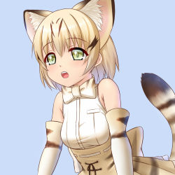 Rule 34 | 10s, 1girl, animal ears, animal print, bare shoulders, blonde hair, blue background, bow, bowtie, cat ears, cat tail, elbow gloves, eyes visible through hair, fang, gloves, green eyes, high-waist skirt, highres, kemono friends, open mouth, print gloves, print skirt, sand cat (kemono friends), shirt, short hair, simple background, sion (sion9117ys), skirt, sleeveless, sleeveless shirt, solo, striped tail, tail, upper body