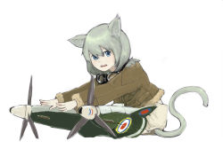 Rule 34 | 00s, 1girl, animal ears, blue eyes, cat ears, cat tail, feral lemma, fur trim, goggles, jacket, leather, leather jacket, mecha musume, simple background, solo, spitfire mk v, strike witches, striker unit, tail, white background, world witches series