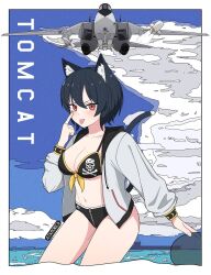 Rule 34 | 1girl, aircraft, aircraft carrier, airplane, animal ear fluff, animal ears, artist name, atamonica, bikini, black bikini, black hair, blush, breasts, cat girl, cat tail, cloud, cowboy shot, f-14 tomcat, fighter jet, jet, looking at viewer, medium breasts, military, military vehicle, missile, navel, original, outdoors, red eyes, ship, solo, standing, stomach, swimsuit, tail, tongue, tongue out, warship, watercraft