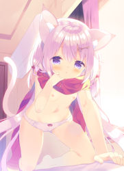 Rule 34 | 1girl, all fours, animal ears, arm support, bare legs, barefoot, beads, blush, bow, bow panties, breasts, cat ears, cat girl, cat tail, commentary request, curtains, hair beads, hair between eyes, hair ornament, hand up, indoors, key hair ornament, long hair, looking at viewer, mimiket, navel, nipples, original, panties, purple eyes, red scarf, scarf, silver hair, small breasts, solo, tail, topless, underwear, underwear only, very long hair, white panties, yuizaki kazuya