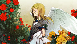 Rule 34 | 1boy, afuro terumi, bad id, bad pixiv id, blonde hair, flower, garden, inazuma eleven, inazuma eleven (series), long hair, male focus, okura000, red flower, red rose, rose, sash, solo, trap, wind, wings, yellow flower, yellow rose, zeus (inazuma eleven)