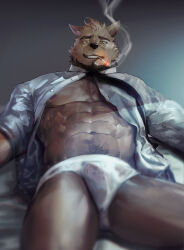 Rule 34 | 1boy, abs, bara, brown fur, collared shirt, crotch, facial hair, feet out of frame, from below, furry, furry male, goatee, highres, large pectorals, looking at viewer, lying, male focus, male underwear, mature male, muscular, muscular male, navel hair, necktie, neumo, nipples, no pants, on back, original, pectorals, salaryman, see-through, shirt, short hair, smoking, solo, stomach, thick thighs, thighs, topless male, underpec, underwear, wet, wet clothes, wet male underwear, white shirt