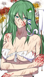 Rule 34 | 1girl, aqua eyes, bandeau, bare arms, bare shoulders, bikini, blood, blood on face, blood on hands, breasts, cleavage, collarbone, commentary request, cuts, frog hair ornament, green hair, hair between eyes, hair ornament, hair tubes, highres, holding, injury, kochiya sanae, large breasts, long hair, looking at viewer, navel, snake hair ornament, solo, soregashi (nobuyoshi-numa2), stomach, strapless, strapless bikini, swimsuit, torn bikini, torn clothes, touhou, upper body, white background, white bikini
