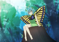 Rule 34 | 1girl, antennae, aqua hair, barefoot, blush, butterfly wings, closed mouth, dress, eternity larva, fairy, green dress, hair between eyes, insect wings, jemen, leaf, leaf on head, multicolored clothes, multicolored dress, short hair, short sleeves, sitting, smile, solo, touhou, tree, unfinished, wings, yellow eyes