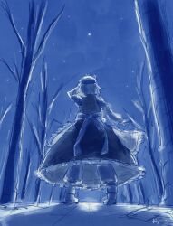 Rule 34 | 1girl, bare tree, blue sky, forest, highres, koyane (silver81106), letty whiterock, looking afar, looking back, moonlight, nature, night, night sky, shadow, sky, solo, star (sky), starry sky, touhou, tree