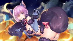 Rule 34 | 1girl, :d, animal ears, ass, bare shoulders, bikini, bison cangshu, blue gloves, blush, breasts, claws, cloud, crescent moon, elbow gloves, fang, fate/grand order, fate (series), ghost, gloves, hair over one eye, halloween, hanging breasts, highres, large breasts, light purple hair, looking at viewer, mash kyrielight, mash kyrielight (dangerous beast), moon, navel, night, night sky, official alternate costume, open mouth, pumpkin, purple eyes, purple thighhighs, short hair, sky, smile, solo, solo focus, star (sky), starry sky, swimsuit, tail, thighhighs, wolf ears, wolf tail