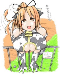 Rule 34 | 1girl, animal ears, animal print, artist request, bell, blush, breast press, breasts, cleavage, cleavage cutout, clothing cutout, cow ears, cow girl, cow print, cow tail, cowbell, gloves, long hair, lowres, orange hair, ponytail, tail, tongue, yellow eyes