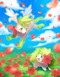 Rule 34 | :d, blurry, blush, cloud, commentary request, creatures (company), day, eye contact, flower, flying, game freak, gen 4 pokemon, grass, green eyes, highres, kikuyoshi (tracco), legendary pokemon, looking at another, mythical pokemon, nintendo, no humans, open mouth, outdoors, pokemon, pokemon (creature), shaymin, shaymin (land), shaymin (sky), sky, smile, tongue