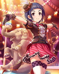 Rule 34 | 10s, 1girl, animal, artist request, black eyes, blue hair, blunt bangs, bow, bowtie, card (medium), circus, elephant, frills, gloves, hat, idolmaster, idolmaster cinderella girls, lights, looking at viewer, mini hat, official art, okazaki yasuha, outstretched arms, puffy short sleeves, puffy sleeves, short hair, short sleeves, skirt, smile, solo, spread arms