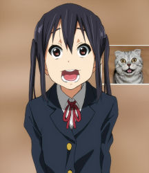 Rule 34 | 1girl, bad id, bad pixiv id, black hair, brown eyes, cat, derivative work, k-on!, looking at viewer, nakano azusa, open mouth, photo (medium), photo inset, reference inset, reference photo, round teeth, school uniform, solo, teeth, tongue, twintails, watanore