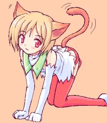 Rule 34 | 1girl, :3, all fours, animal ears, blonde hair, blush, cat ears, cat tail, elbow gloves, gloves, lingerie, looking at viewer, lowres, oekaki, orange background, red eyes, red thighhighs, short hair, simple background, solo, tail, takayaki, thighhighs, underwear