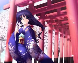 Rule 34 | 1girl, black hair, cherry blossoms, green eyes, japanese clothes, kimono, long hair, long sleeves, multiple torii, obi, original, purple hair, purple kimono, sash, solo, torii