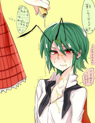 Rule 34 | absurdres, antennae, bifrst, cape, food, green hair, highres, honey, kazami yuuka, multiple girls, out of frame, red eyes, sexually suggestive, short hair, solo focus, touhou, wriggle nightbug
