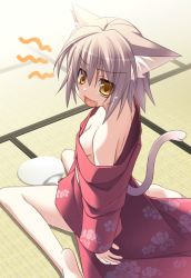 Rule 34 | 1girl, animal ears, bare shoulders, barefoot, breasts, cat ears, cleavage, downblouse, hand fan, fang, from side, hot, japanese clothes, kimono, ninozen, off shoulder, original, paper fan, silver hair, sitting, solo, sweat, tail, tatami, uchiwa, wariza, yellow eyes