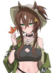 Rule 34 | 1girl, animal ears, arknights, bare shoulders, black choker, black shirt, breasts, brown hair, choker, cleavage, cleavage cutout, closed mouth, clothing cutout, commission, crop top, ears through headwear, green eyes, hat, highres, holding, horse ears, kangi nako, large breasts, leaf, long hair, looking at viewer, maple leaf, meteor (arknights), meteor (bard&#039;s holiday) (arknights), midriff, mole, mole under eye, navel, official alternate costume, ponytail, shirt, smile, solo, upper body