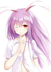 Rule 34 | 1girl, ;), animal ears, bad id, bad pixiv id, breasts, rabbit ears, cleavage, collarbone, finger to mouth, flan (seeyouflan), hair between eyes, highres, light purple hair, long hair, looking at viewer, navel, one eye closed, orange eyes, reisen udongein inaba, shirt, short sleeves, simple background, small breasts, smile, solo, touhou, unbuttoned, upper body, white background, white shirt