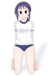 Rule 34 | 1girl, atsumare! fushigi kenkyuubu, buruma, goryou megumi, gym uniform, highres, purple hair, standing on knees, tagme