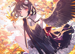 Rule 34 | 1girl, autumn, back bow, back cutout, bird wings, black bow, black bowtie, black skirt, blush, bow, bowtie, branch, breasts, bridge, clothing cutout, collared shirt, day, duplicate, eyelashes, feathered wings, frilled shirt collar, frilled skirt, frills, hand fan, hat, hauchiwa, highres, hinasumire, holding, holding fan, in tree, looking at viewer, looking back, outdoors, pixel-perfect duplicate, pointy ears, pom pom (clothes), puffy short sleeves, puffy sleeves, red eyes, red hat, red sash, ribbon-trimmed skirt, ribbon trim, sash, shameimaru aya, shirt, short hair, short sleeves, sitting, sitting in tree, skirt, solo, tokin hat, touhou, tree, white shirt, wing collar, wings
