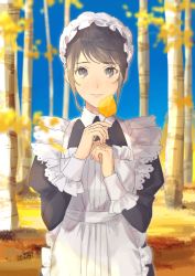 Rule 34 | 1girl, apron, autumn leaves, bad id, bad twitter id, black dress, blue sky, closed mouth, day, dress, forest, grey eyes, grey hair, highres, holding, holding leaf, juliet sleeves, leaf, light blush, long sleeves, looking at viewer, maid, maid apron, maid headdress, nature, original, puffy sleeves, sankomichi, sky, smile, solo, standing, tree, white apron