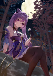 Rule 34 | 1girl, bamboo, bamboo forest, black gloves, braid, breasts, brown pantyhose, choker, closed mouth, commentary request, cone hair bun, detached sleeves, dress, flower, forest, frilled sleeves, frills, full moon, genshin impact, gloves, hair bun, hair ornament, highres, holding, holding flower, keqing (genshin impact), medium breasts, moon, naeeeegi, nature, night, night sky, outdoors, pantyhose, purple choker, purple dress, purple eyes, purple hair, short dress, short sleeves, sitting, sky, smile, solo, twintails