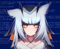 Rule 34 | 1girl, arknights, blue background, blue screen of death, commentary request, eyelashes, frilled shirt, frills, orange eyes, owl ears, ptilopsis (arknights), shirt, silver hair, solo