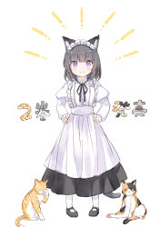 Rule 34 | &gt;:), 1girl, animal, animal ear fluff, animal ears, apron, black footwear, black hair, black ribbon, black skirt, blush, cat, cat ears, cat girl, cat tail, closed mouth, commentary request, full body, hands on own hips, juliet sleeves, komugi (wataame27), long sleeves, looking at viewer, maid headdress, neck ribbon, notice lines, original, pantyhose, pigeon-toed, puffy sleeves, purple eyes, ribbon, shirt, shoes, skirt, smile, solo, standing, tail, translation request, v-shaped eyebrows, wataame27, white apron, white pantyhose, white shirt