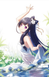 Rule 34 | 1girl, black hair, chinese commentary, commentary request, dress, flower, foliage, highres, in water, legs, long hair, looking at viewer, purple eyes, revdol, sidelocks, smile, solo, virtual youtuber, wading, water, white dress, zzt (zztsama)