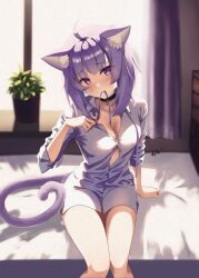 Rule 34 | 1girl, absurdres, ahoge, animal ear fluff, animal ears, black collar, blush, breasts, cat ears, cat girl, cat tail, cleavage, collar, curtains, highres, holding, hololive, large breasts, looking at viewer, medium hair, mottiie, mouth hold, naked shirt, nekomata okayu, nekomata okayu (oversized shirt), plant, potted plant, purple curtains, purple eyes, purple hair, purple ribbon, ribbon, shirt, solo, tail, virtual youtuber, white shirt