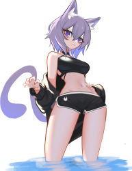Rule 34 | 1girl, absurdres, animal ears, breasts, cat ears, cat tail, ghost (tama), hand on own hip, highres, hololive, leaning back, medium breasts, midriff, navel, nekomata okayu, off-shoulder sweater, off shoulder, open hand, purple eyes, purple hair, solo, sweater, tail, virtual youtuber
